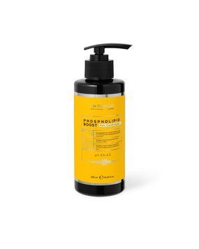 Кондиционер для волос с фосфолипидами Phospholipid Boost Hair Conditioner Na G&oacute;lov[y], 250мл g-003-562 фото
